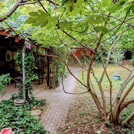 Apartament B59 *